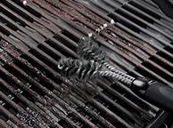 Weber Borstel met dubbele kop Weber Borstel met dubbele kop