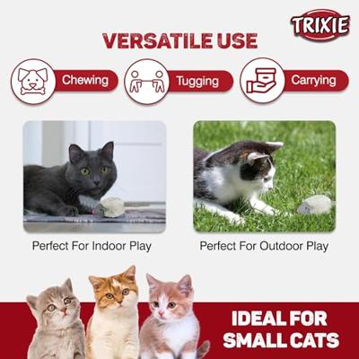 TRIXIE MUIS MET MICROCHIP PLUCHE MET KATTENMUNT ASSORTI 6 CM 12 ST