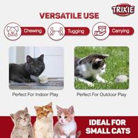 TRIXIE MUIS MET MICROCHIP PLUCHE MET KATTENMUNT ASSORTI 6 CM 12 ST - thumbnail