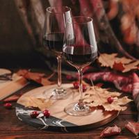 Alpina wijnglazen 4 stuks 50cl - thumbnail