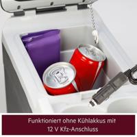 AEG Bordbar BK6 Koelbox en verwarmingsbox Thermo-elektrisch 12 V/DC Grijs 6 l Max. 20 °C onder omgevingstemperatuur - thumbnail