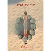 Strandvliet - Satyamo Uyldert - Paperback (9789090330839) - thumbnail