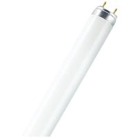 OSRAM HOMELIGHTING TL-lamp Energielabel: G (A - G) G13 36 W Warmwit Buis (Ø x l) 26 mm x 1213.5 mm 1 stuk(s) - thumbnail