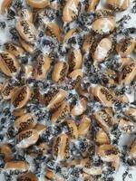 De Bron Boterbabbelaars suikervrij 2500 Gram - thumbnail