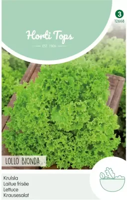 Zaden Krulsla Lollo Bionda Hortitops - Hortitops