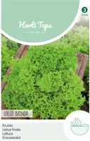 Zaden Krulsla Lollo Bionda Hortitops - Hortitops - thumbnail
