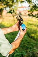 Snoeischaar Cellfast - thumbnail