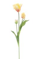 PSO Parrot tulip spray Sally yellow 71 cm kunstbloem Erutan Avon - Erutan avon - thumbnail
