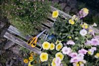 Fiskars Classic Universele Schaar | 21 cm - 1075033 - thumbnail