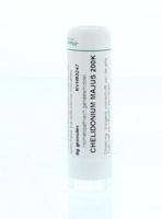 Homeoden Heel Chelidonium majus 200K 6 Gram - thumbnail