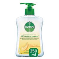 Dettol Dettol Wasgel Citrus 250ml - thumbnail