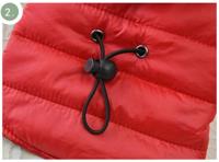 Baza hangtuintje struiktomaat tumb. tom yellow - thumbnail