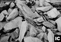 Ilford SUC HP5 Plus 27 foto's - thumbnail