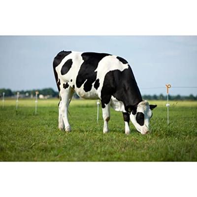 Gallagher Veerstalen paal met oranje krulstaart (10) - 642134 642134