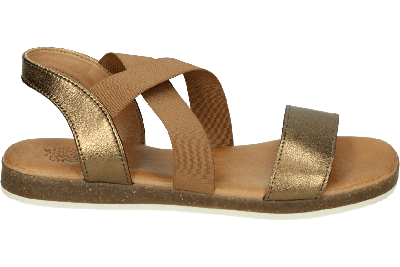 Apple of Eden IRIS 55 - alle