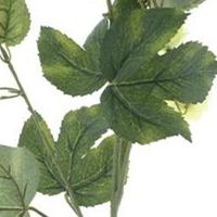 Hop flower spray Leffe green 81 cm kunstbloem Erutan Avon - Erutan avon - thumbnail