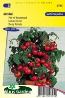 Tomaat zaden Minibel - thumbnail