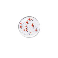 Rene Furterer Tonucia Natural Filler Replumping Shampoo 50ml - thumbnail