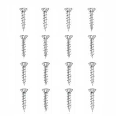 Set stalen schroeven verzinkt rond ø 0,4 cm en lengte 2 cm - 16 stuks