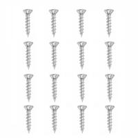 Set stalen schroeven verzinkt rond ø 0,4 cm en lengte 2 cm - 16 stuks - thumbnail