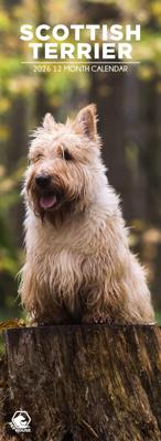 Schotse Terrier Slimline Kalender 2026