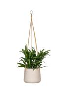 Rough Eco-line hangende bloempot L 20x17 cm Patt lichtgrijs - thumbnail