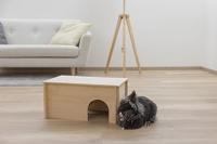 Knaagdierenopvang - KERBL - thumbnail