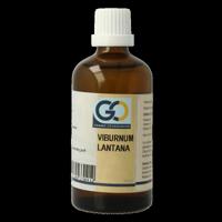 GO Viburnum lantana bio 100 Milliliter - thumbnail