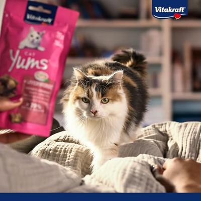 Vitakraft Cat Yums kip met kattengras kattensnack (40 g) 3 verpakkingen