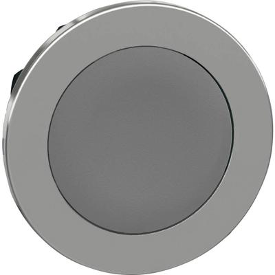 Schneider Electric ZB4FA8 ZB4FA8 Plat, Terugstelbaar (Ø) 30.5 mm Zonder markering Chroom, Grijs 1 stuk(s)