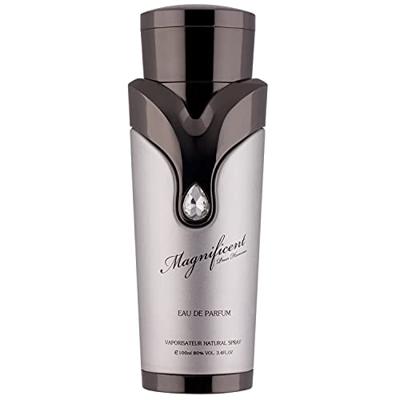 Armaf Magnificent Eau de parfum Spray 100ml Heren