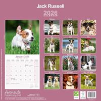 Jack Russell Terrier Kalender 2026 - thumbnail