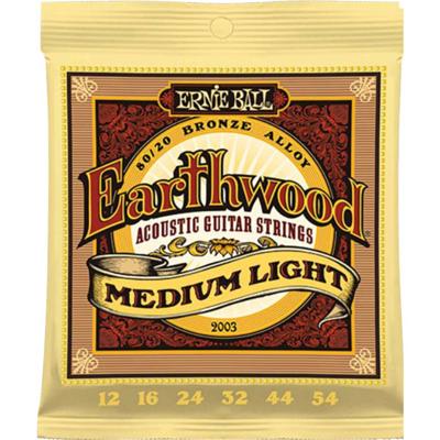 Ernie Ball Earthwood Acoustic 80/20 Medium Light 2003