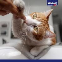 Vitakraft Vita Hearts Digestion kattensnack 2 stuks - thumbnail