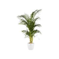 Elho pot brussels rond d25cm wit - thumbnail