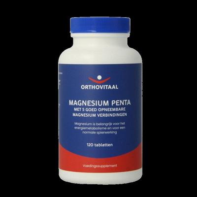 Magnesium penta 120 Tabletten