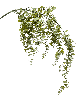 Eucalyptus hanging vine green 120 cm kunstbloem zijde nepbloem Emerald - Emerald - thumbnail