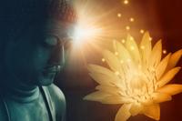 Schilderij - Boeddha Gezicht verlicht door Lotus Bloem, Premium Print, Wanddecoratie - thumbnail