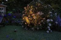 Paulmann 94770 Kikolo LED-tuinspot LED 6.2 W Antraciet - thumbnail