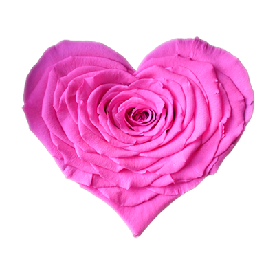 Longlife Rozenhartje donker roze