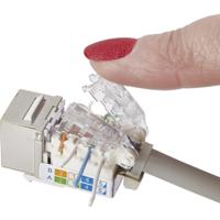 Renkforce RJ45-inbouwmodule Met vergrendelingsfunctie Keystone CAT 6A KSV10 - thumbnail