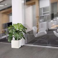 Monstera deluxe kunstplant 75cm - FR - brandvertragend - thumbnail