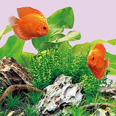 Juwel LED lamp Colour 14 Watt 590 mm - LED Tube Juwel Gebr. de Boon - Gebr de boon Juwel LED lamp Colour 14 Watt 590 mm - LED Tube Juwel Gebr. de Boon - Gebr de boon