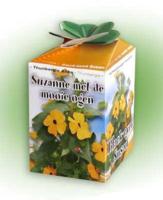 Greengift Suzanne met de mooie ogen - thumbnail