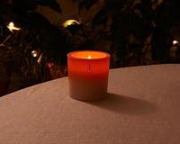 Bolsius Summer Nights Buiten Kaars Ivoor - thumbnail