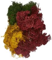 NOCH 8620 Mos Herfstmengsel - thumbnail