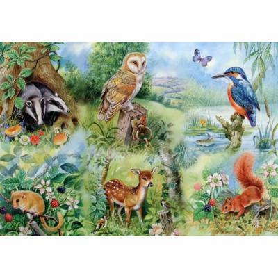 Nature Study Puzzel 250 Stukjes XL Nature Study Puzzel 250 Stukjes XL