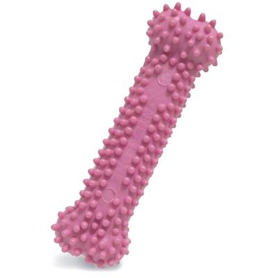 Kauwspeelgoed voor honden Nylabone Birka Roze Kip XS
