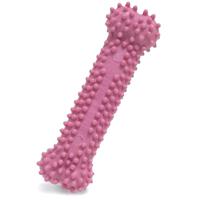 Kauwspeelgoed voor honden Nylabone Birka Roze Kip XS - thumbnail