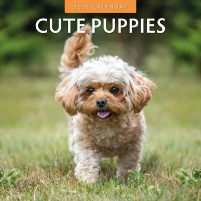 Cute Puppies Kalender 2026